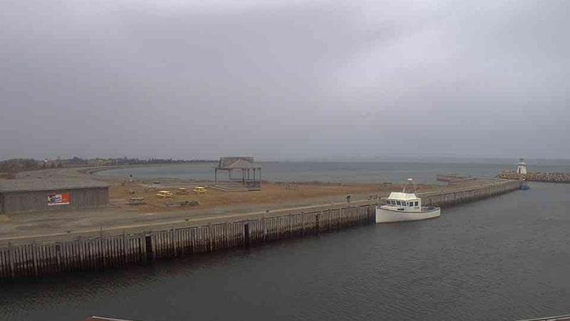 Belliveau Cove Harbour