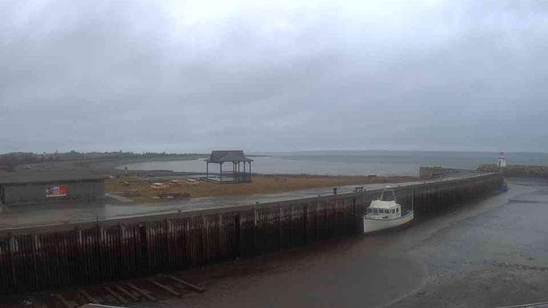 Belliveau Cove Harbour