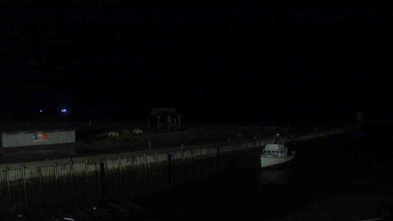 Belliveau Cove Harbour