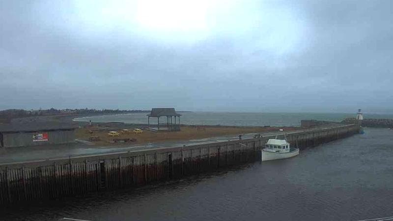 Belliveau Cove Harbour