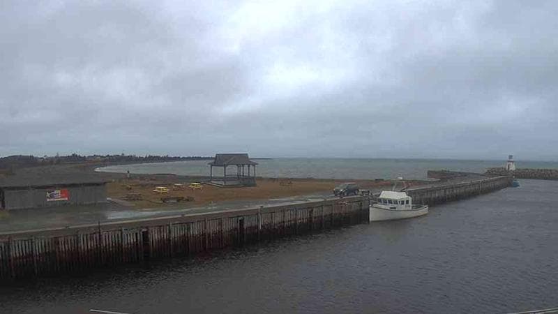 Belliveau Cove Harbour