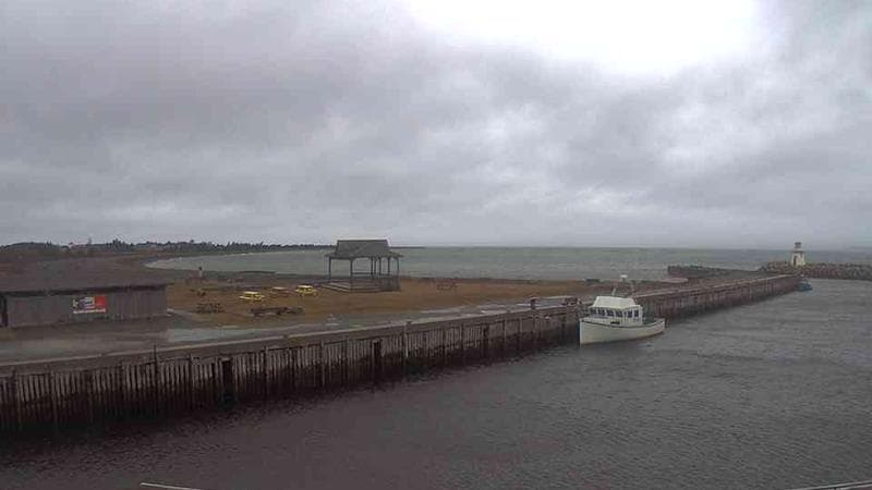 Belliveau Cove Harbour