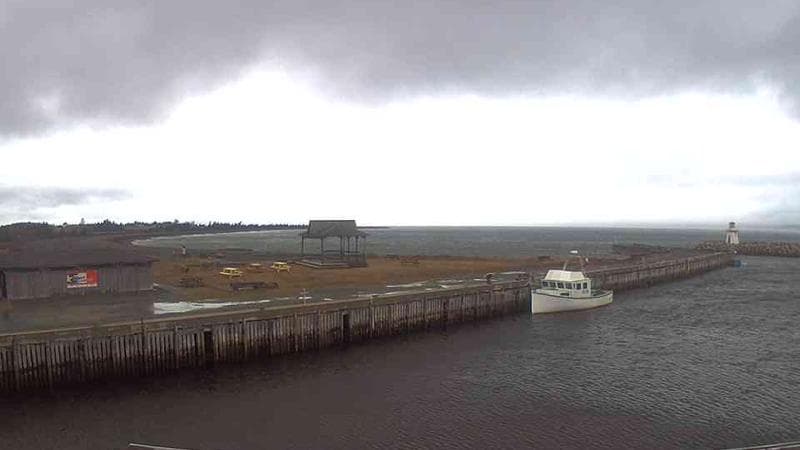 Belliveau Cove Harbour