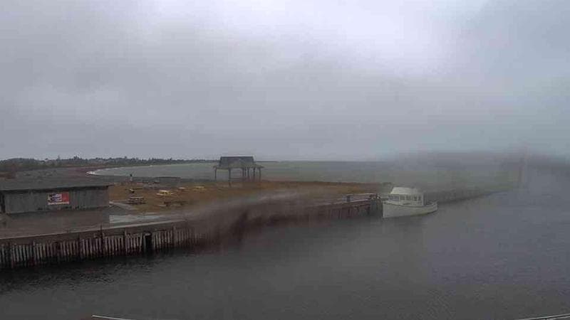 Belliveau Cove Harbour