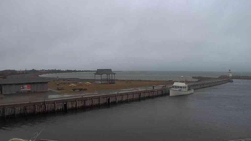 Belliveau Cove Harbour