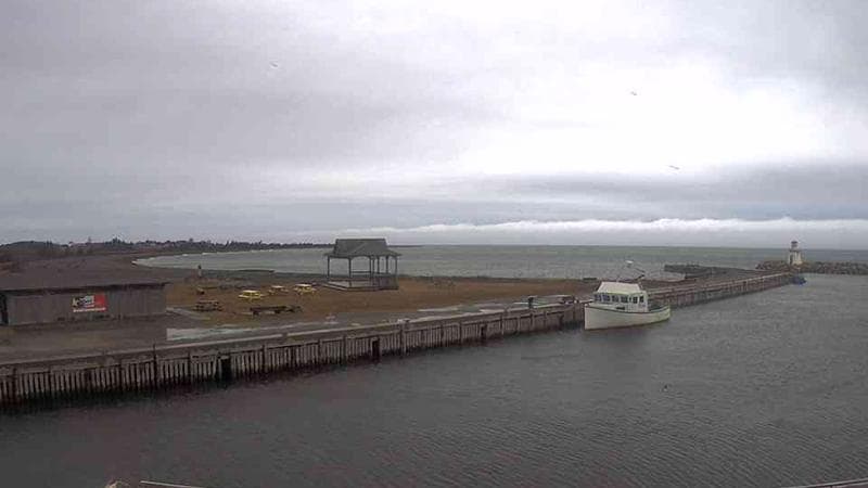 Belliveau Cove Harbour