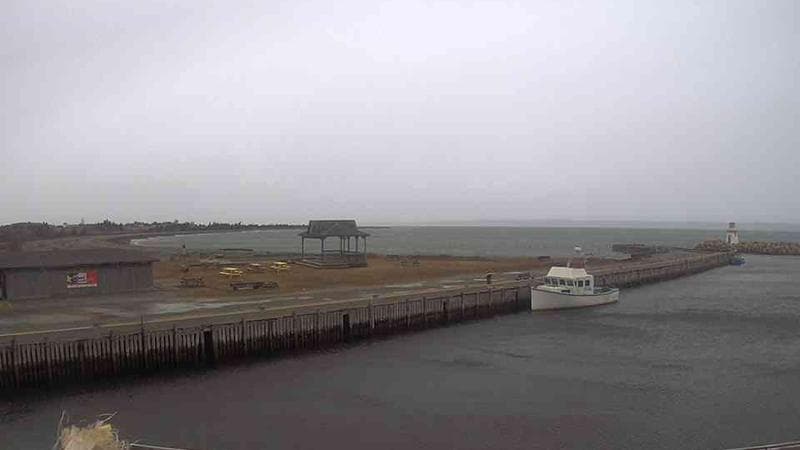 Belliveau Cove Harbour