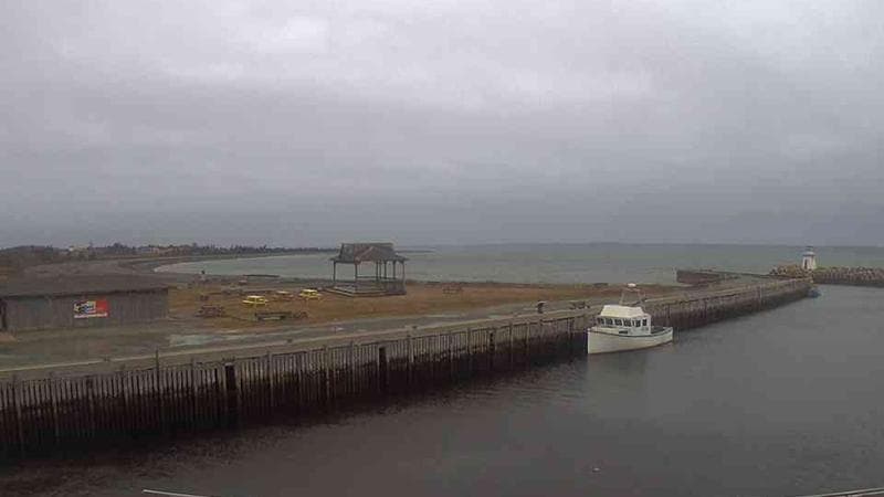 Belliveau Cove Harbour