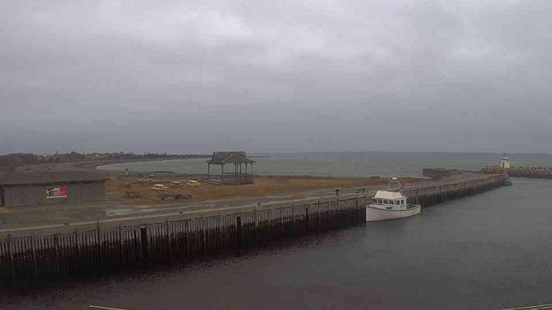 Belliveau Cove Harbour