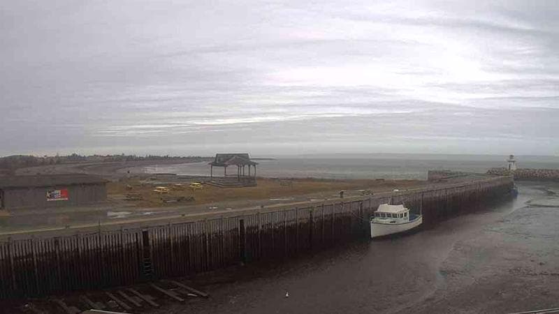 Belliveau Cove Harbour