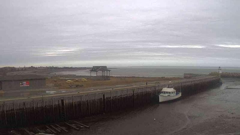 Belliveau Cove Harbour