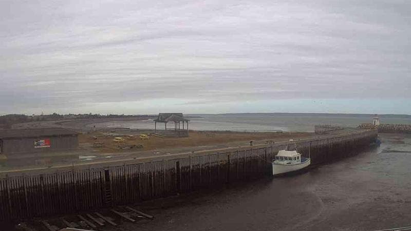 Belliveau Cove Harbour