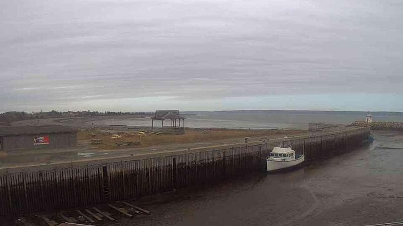 Belliveau Cove Harbour