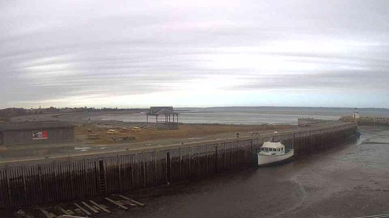 Belliveau Cove Harbour