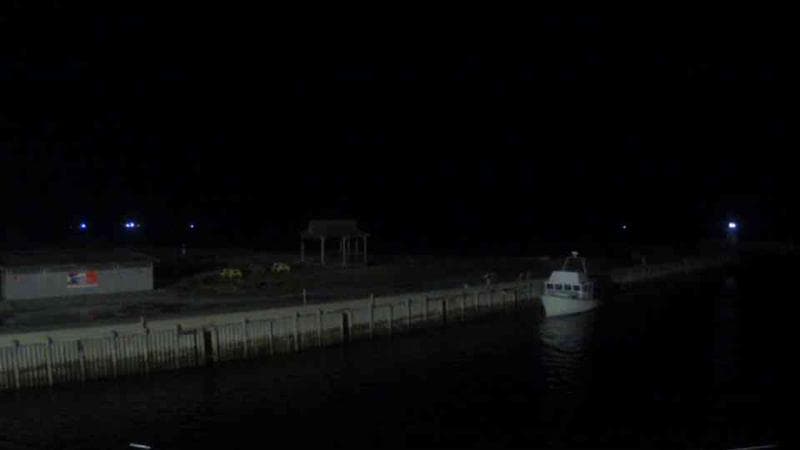 Belliveau Cove Harbour