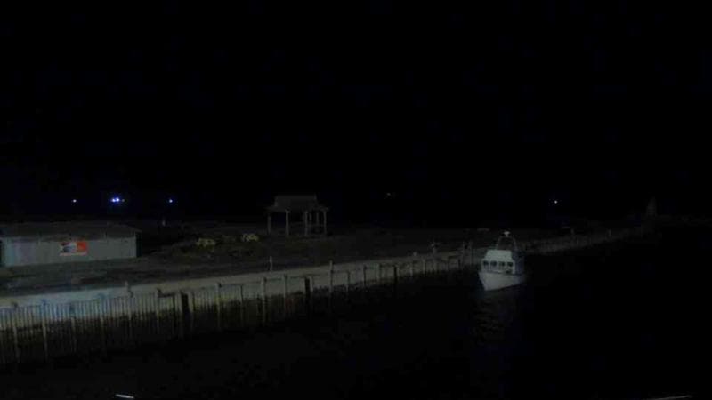 Belliveau Cove Harbour