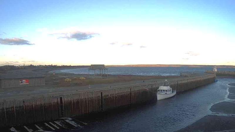 Belliveau Cove Harbour