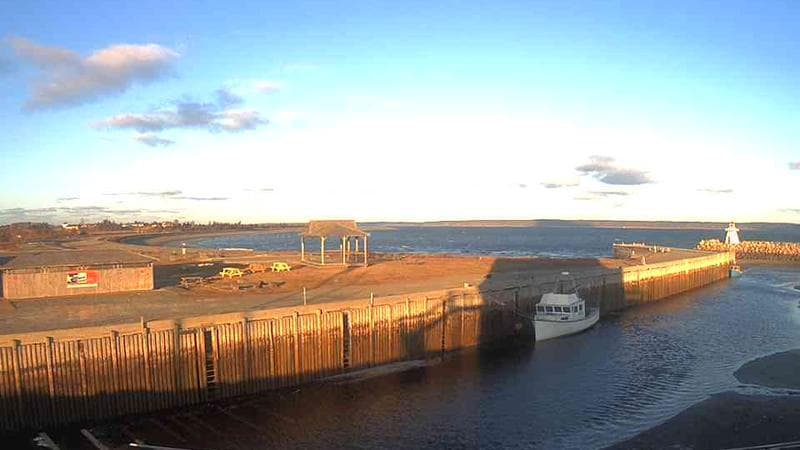 Belliveau Cove Harbour