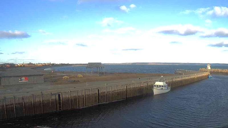 Belliveau Cove Harbour