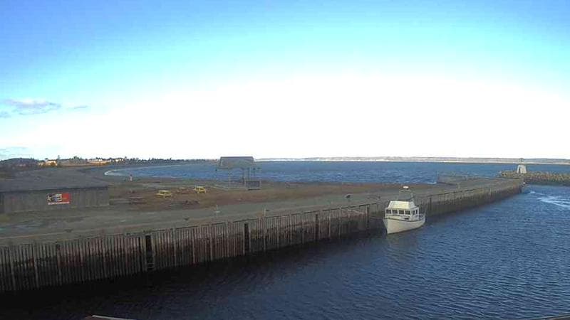 Belliveau Cove Harbour