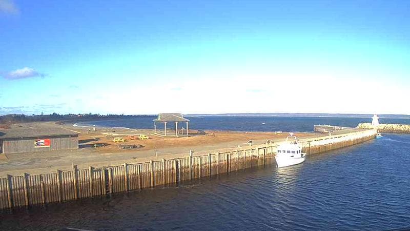 Belliveau Cove Harbour