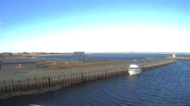 Belliveau Cove Harbour
