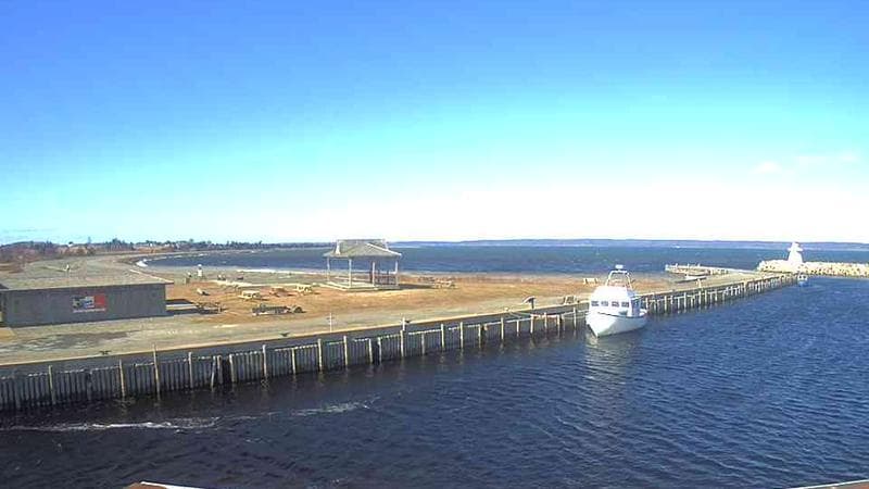 Belliveau Cove Harbour