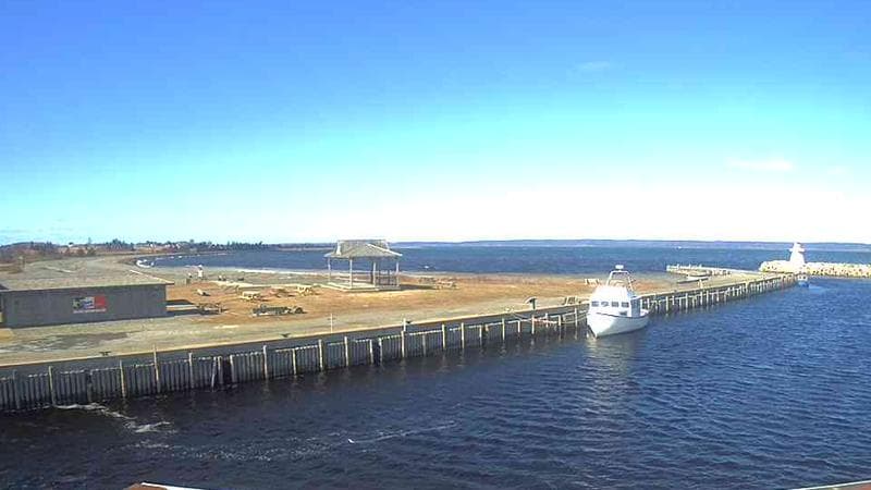 Belliveau Cove Harbour