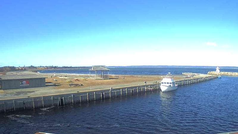 Belliveau Cove Harbour