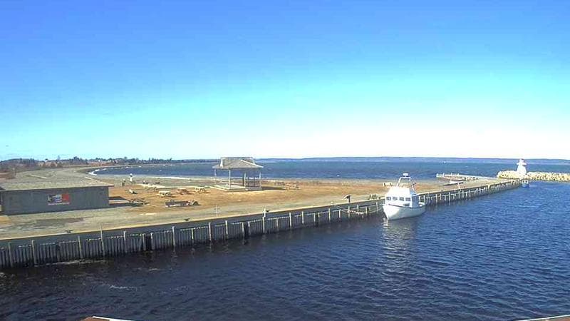 Belliveau Cove Harbour