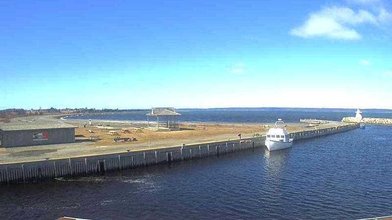 Belliveau Cove Harbour