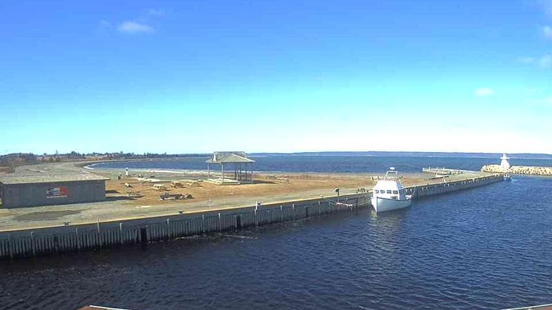 Belliveau Cove Harbour