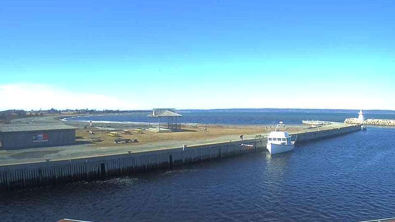 Belliveau Cove Harbour