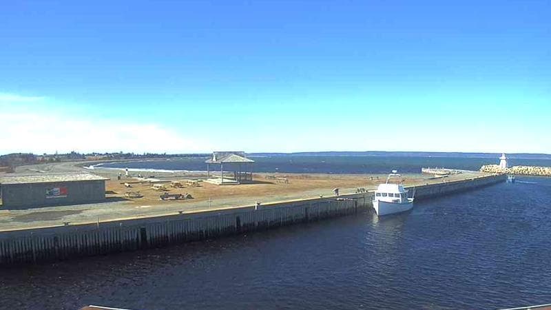Belliveau Cove Harbour