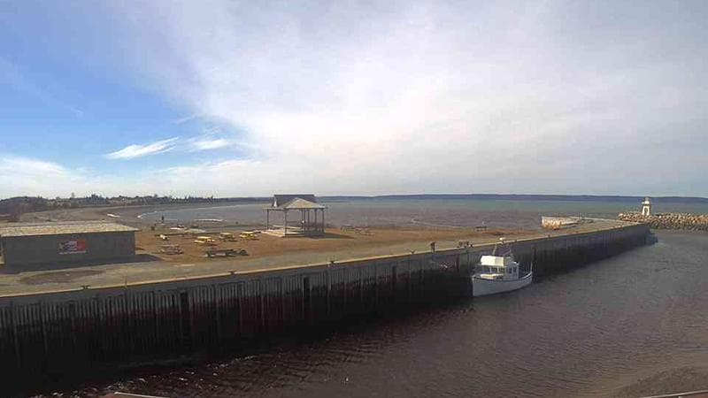 Belliveau Cove Harbour