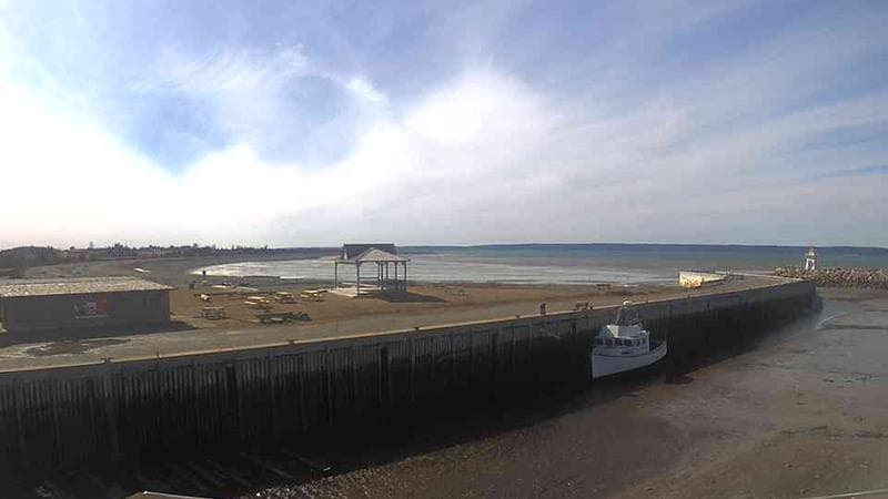 Belliveau Cove Harbour