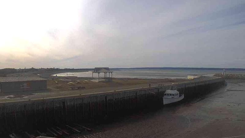 Belliveau Cove Harbour
