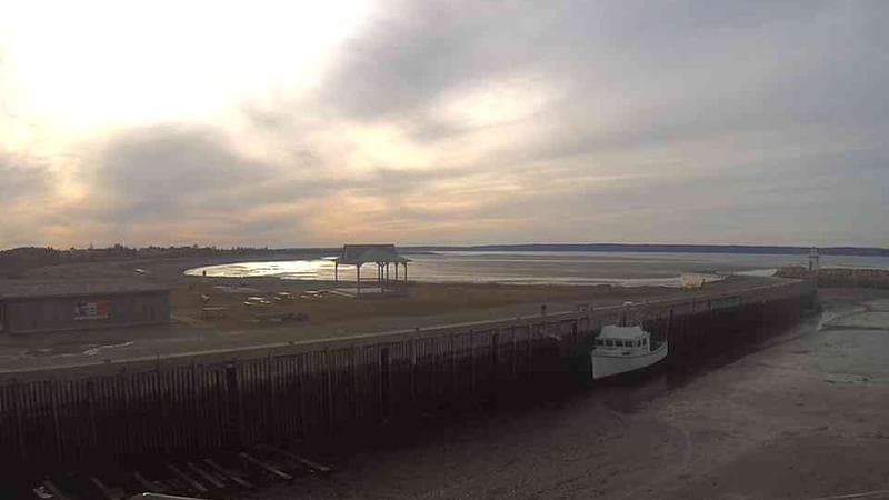 Belliveau Cove Harbour