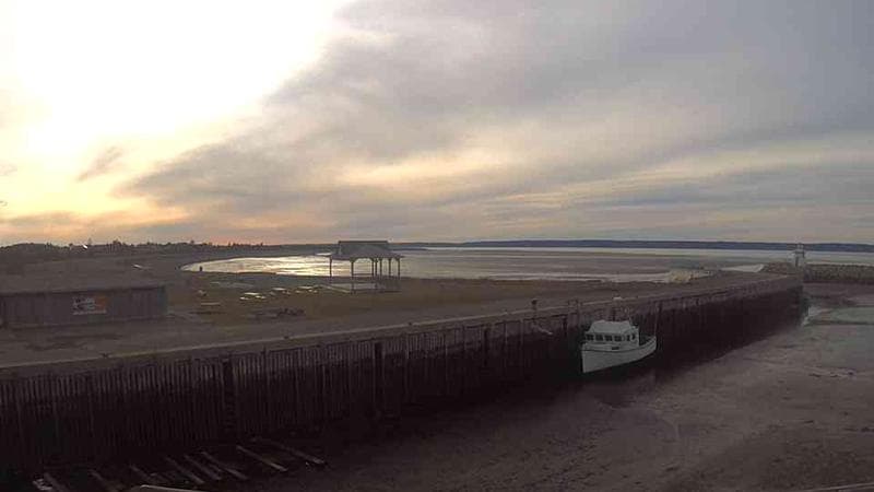 Belliveau Cove Harbour