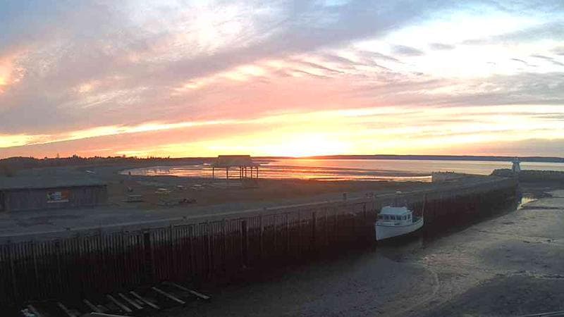 Belliveau Cove Harbour