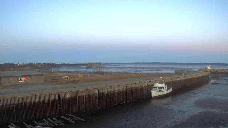 Belliveau Cove Harbour