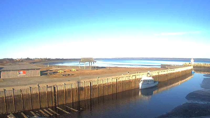 Belliveau Cove Harbour