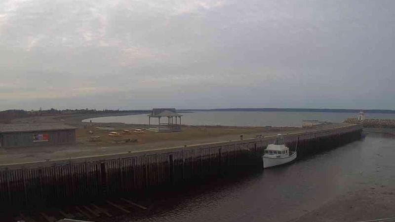 Belliveau Cove Harbour