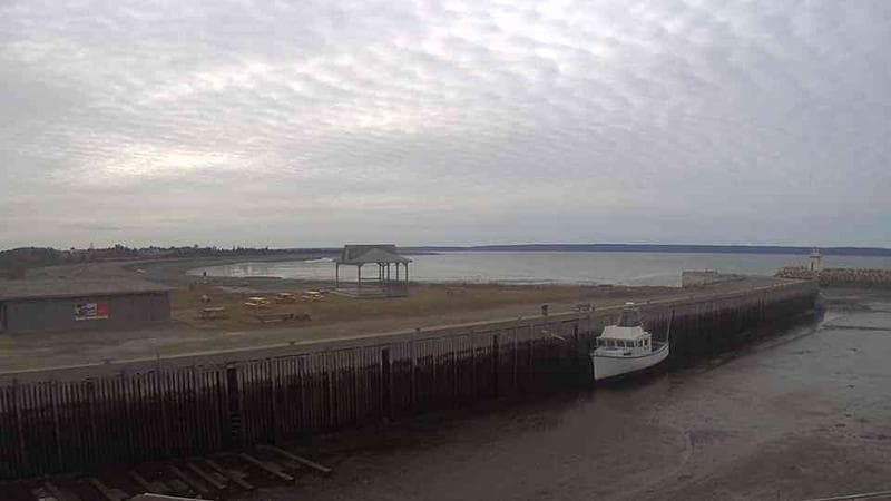 Belliveau Cove Harbour