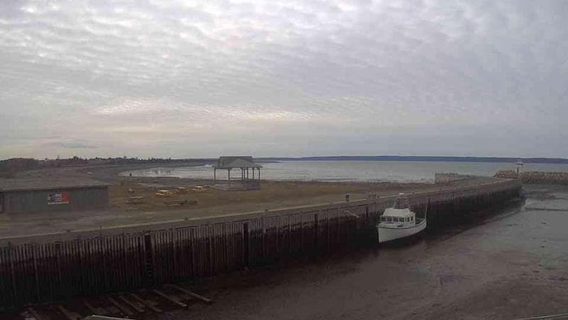 Belliveau Cove Harbour
