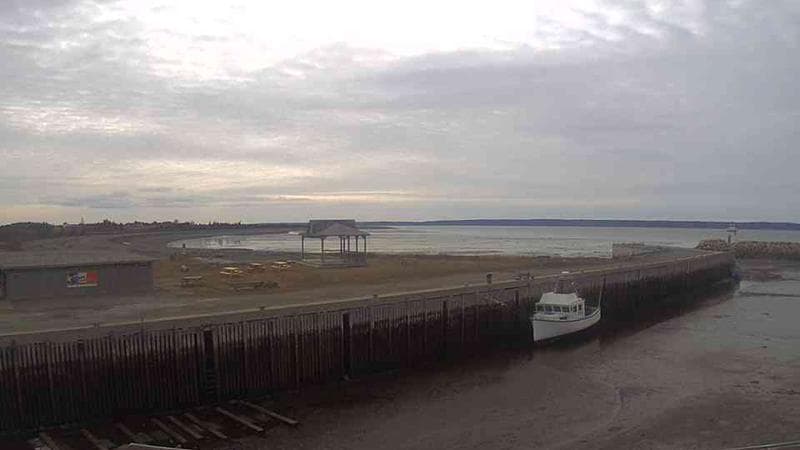 Belliveau Cove Harbour