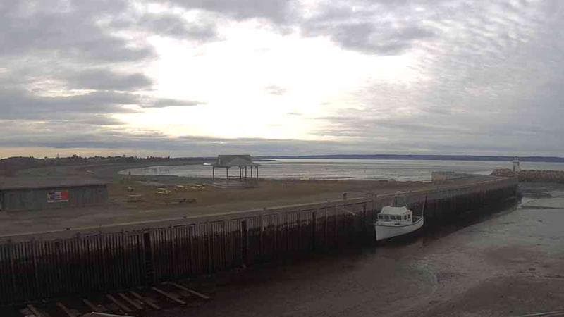 Belliveau Cove Harbour