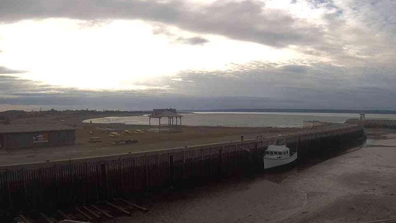 Belliveau Cove Harbour