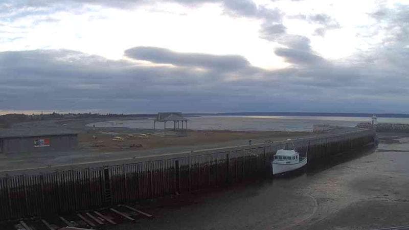 Belliveau Cove Harbour