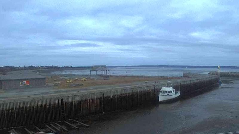Belliveau Cove Harbour